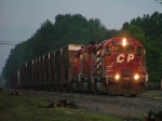 CP 5419